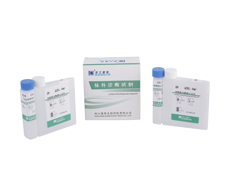 【LDH】 Lactat Dehydrogenase Assay Kit (Lactat Substrat Method)