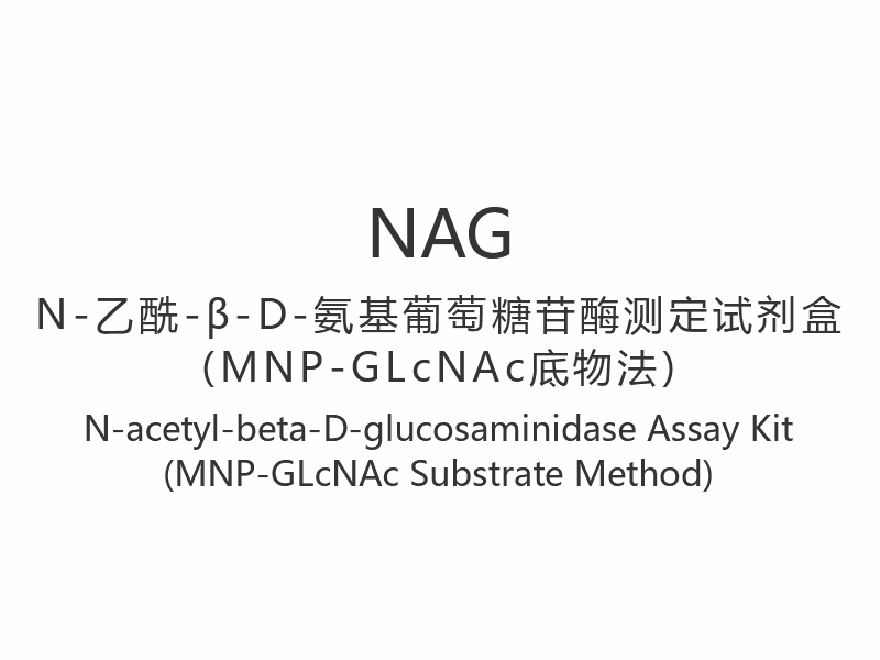 【NAG】N-acetyl-beta-D-glucosaminidase-assaykit (MNP-GLcNAc-substratmetode)