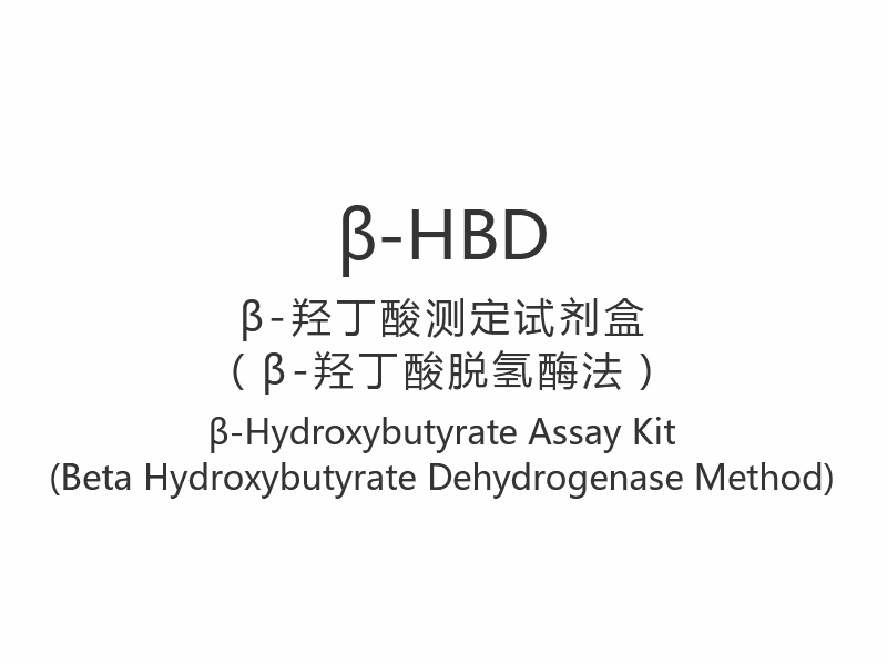 【β-HBD】β-Hydroxybutyrat Assay Kit (Beta Hydroxybutyrate Dehydrogenase Method)