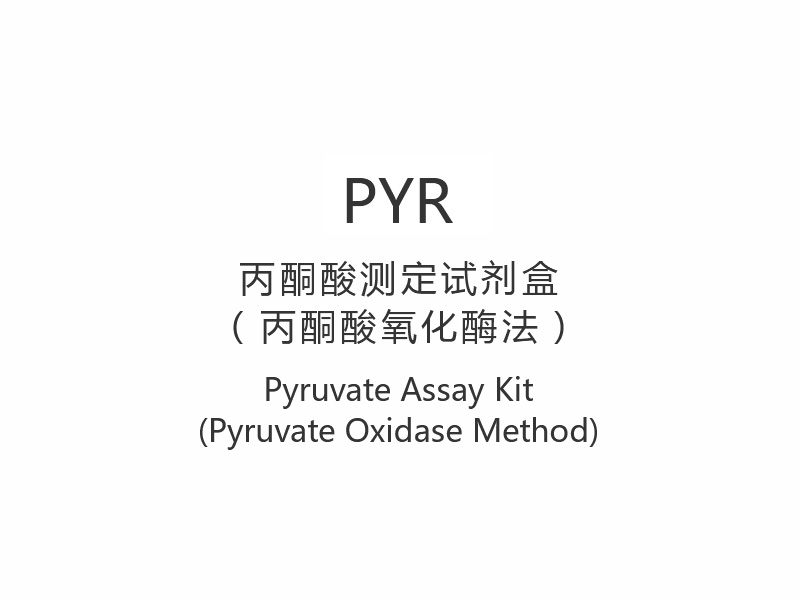 【PYR】 Pyruvat Assay Kit (Pyruvat Oxidase Metode)